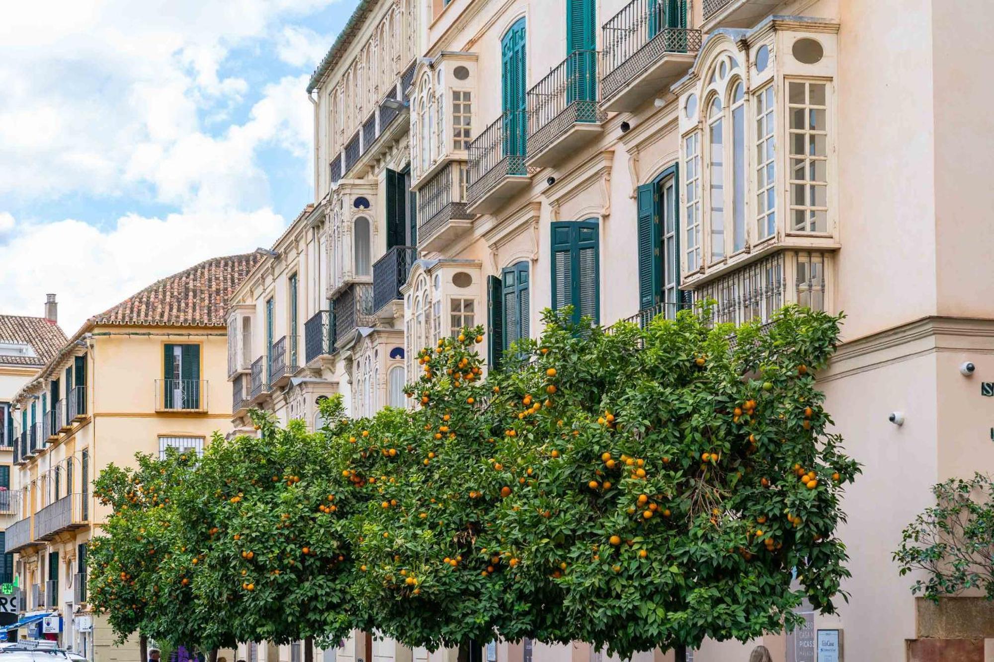 Limehome Malaga Calle Victoria Ngoại thất bức ảnh